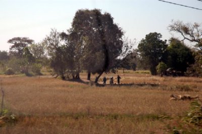 campo (24)  LEADOR BOSQUE